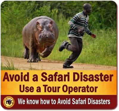 10-Reasons why you need a Safari Tour Operator for your Safari in Uganda