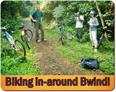 Mountain Biking through Bwindi Impenetrable Forest