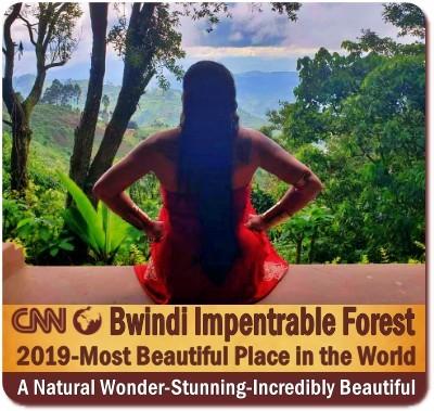 CNN-Bwindi Impenetrable Fores ist the Most Beautiful Place in the World