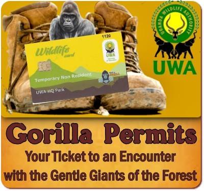 The 10-Most Common Gorilla Trekking Mistakes to Avoid in Uganda