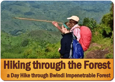 10 - Top Things to Do and See - Bwindi Impenetrable Forest