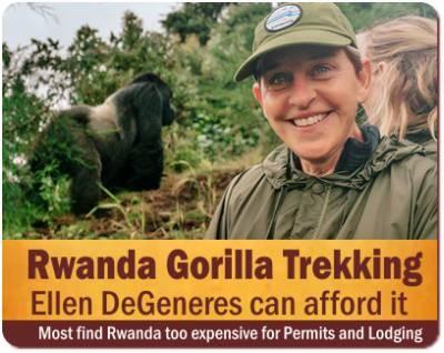 Affordable Gorilla Safaris in Uganda where you get Value for your Money