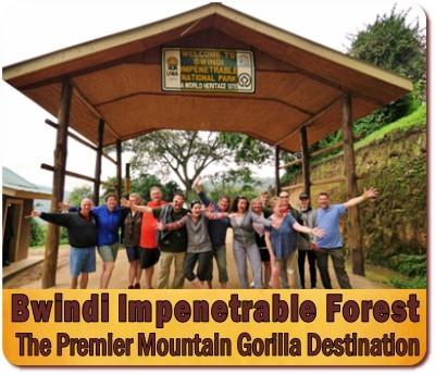 Uganda Gorilla Trekking Advantages-Reasons why Tourists Choose Uganda