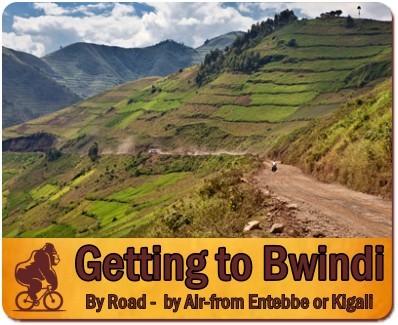 The Scenic Nkuringo Region of  Bwindi Impenetrable Forest in Uganda