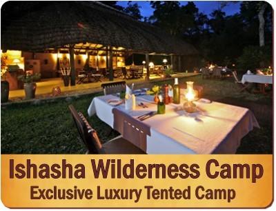 10-Day Exclusive Luxury Primate Habituation Experience Safari