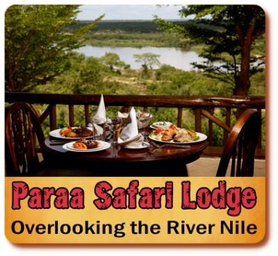 Top Lodging Choices in Murchison Falls Park