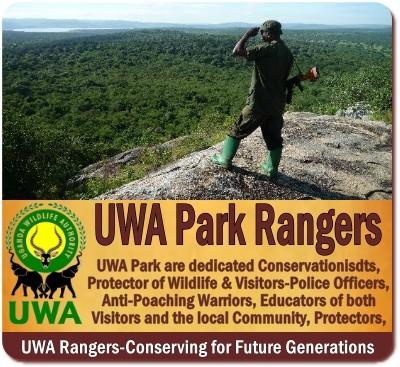 Uganda Wildlife Authority Rangers