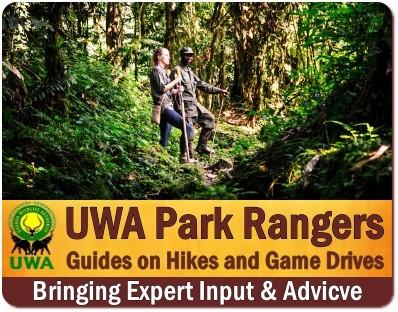 Uganda Wildlife Authority Rangers Keep National Parks Safe-Secure