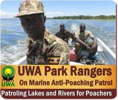 Uganda Wildlife Authority Rangers Keep National Parks Safe-Secure