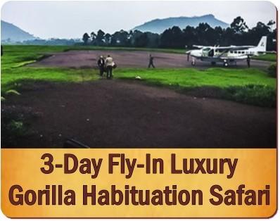 Luxury Private Gorilla Safaris in Uganda with Kabiza Wilderness Safaris