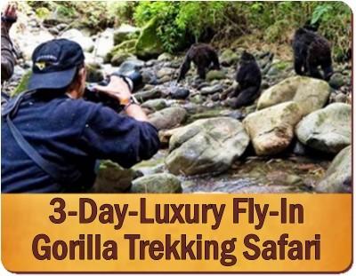 Luxury Private Gorilla Safaris in Uganda with Kabiza Wilderness Safaris