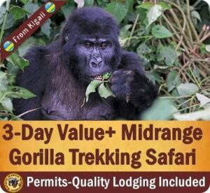 Why Fly into Rwanda and Trek Gorillas in Uganda is your best Option