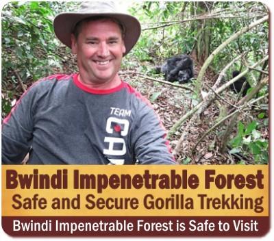 Is it SAFE to visit Bwindi Impenetrable Forest?  The No-Spin Reality