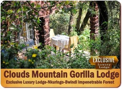 Clouds Mountain Gorilla Lodge - Nkuringo - Bwindi Impenetrable Forest