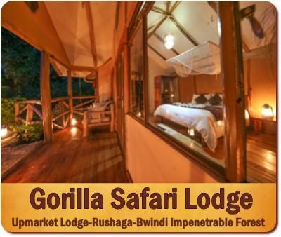 10-Day Exclusive Luxury Primate Habituation Experience Safari