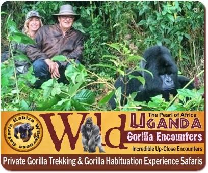 3-Day Luxury Gorilla Trekking Safari-Bwindi Impenetrable Forest from Kigali