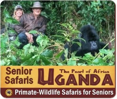 Our Private Gorilla-Chimpanzee-Wildlife Safaris in Uganda