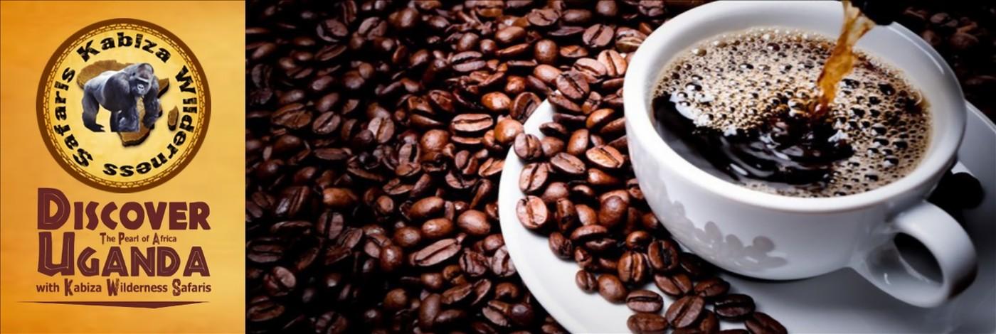 Coffee Lover Survival Kit  for your Safari in Uganda