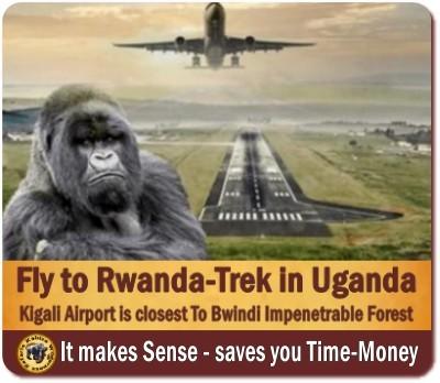 Fly into Rwanda and Trek Gorillas in Uganda is your best Option