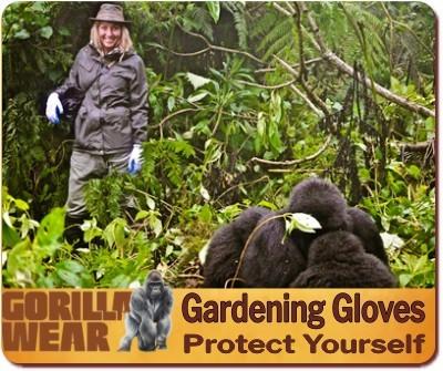 What should I wear for Gorilla Trekking? Here is your Packing list