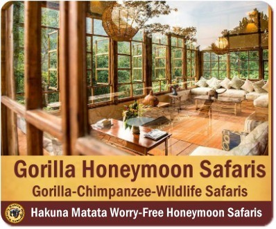 Best Honeymoon Destinations and Lodges in Uganda