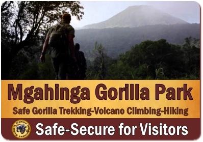 Is it SAFE to visit Mgahinga Gorilla Park