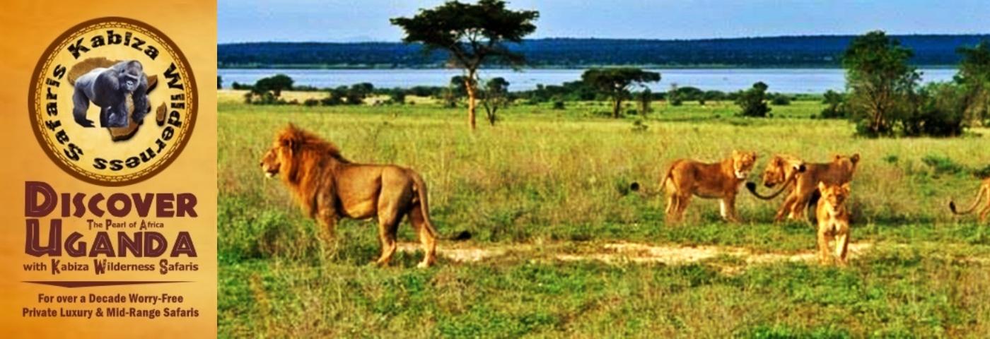 3-Day Value+ Midrange Murchison Falls Park Wildlife Safari