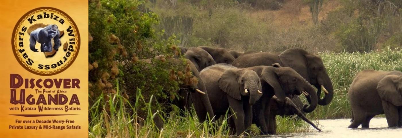 Value+ Midrange 4-Day-Big 5 Wildlife Safari-Murchison Falls Park