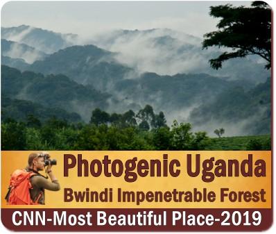 Uganda is a Photographic Paradise with its Jaw-Dropping Scenery