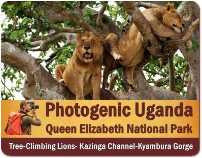 Uganda is a Photographic Paradise with its Jaw-Dropping Scenery