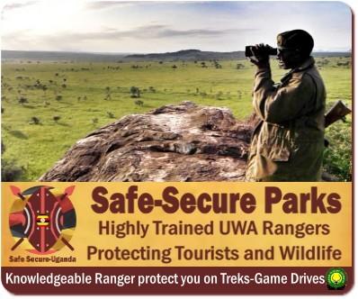 Uganda Wildlife Authority Rangers Keep National Parks Safe-Secure