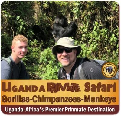 10-Day Exclusive Luxury Primate Habituation Experience Safari