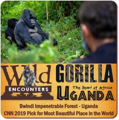 Combine the Best of Uganda-Gorilla Trekking with remote Kidepo Valley Park