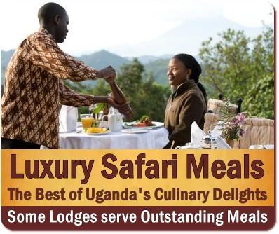 What will I eat on a Safari in Uganda? Safari Food