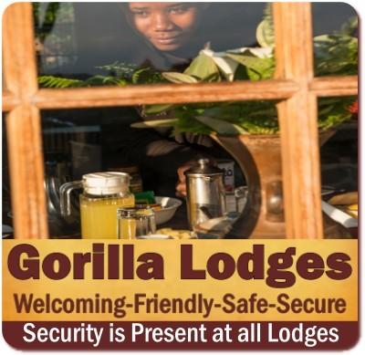 Is it SAFE to visit Mgahinga Gorilla Park in Uganda? Park Safety-Security