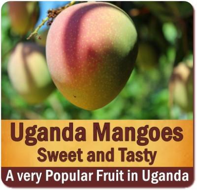 Discover Uganda-the Tropical Fruit Basket of Africa on Safari