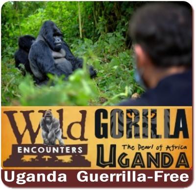 Gorilla Trekking-not Guerrilla Trekking Safaris in Safe-Secure Uganda