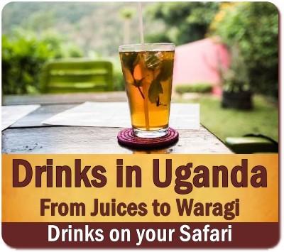 What will I eat on a Safari in Uganda? Safari Food