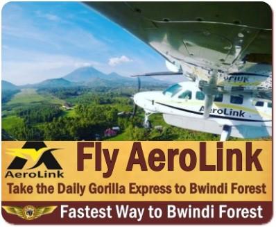 Getting to Bwindi Impenetrable Forest For Gorilla Trekking in Uganda