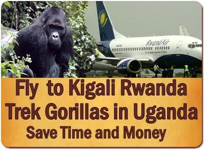 Uganda gives you more Gorilla Trekking Choices and Options