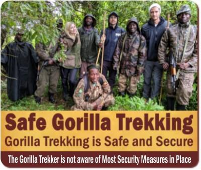 Gorilla Trekking-not Guerrilla Trekking Safaris in Safe-Secure Uganda