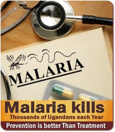 How to Avoid getting Malaria on a Safari in Uganda