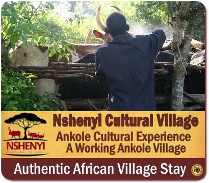 Nshenyi Cultural Village Stay 