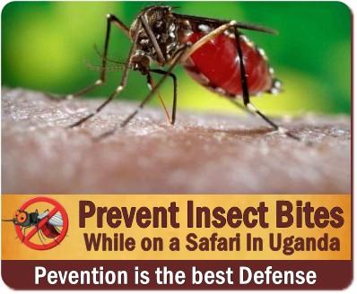 Fight the Bite on Safari-Prevent Insect Bites on Safari