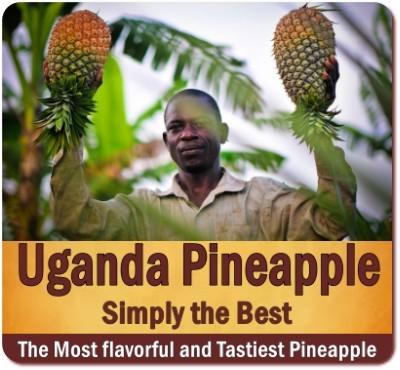 Discover Uganda-the Tropical Fruit Basket of Africa on Safari