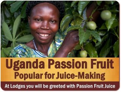 Discover Uganda-the Tropical Fruit Basket of Africa on Safari