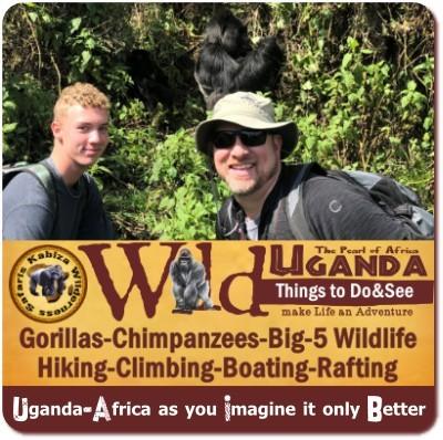 The Incredible Things to Do and See in Uganda on a Safari