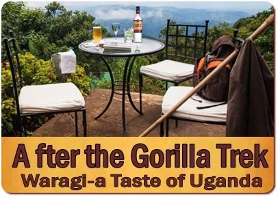 Waragi-The Drink of Choice-a Taste of Uganda on Safari