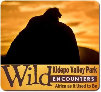 Best Time to visit Kidepo Valley National Park in Karamoja