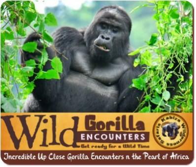 Value+ Midrange 6-Day Gorilla-Chimpanzee-Wildlife Safari in Uganda